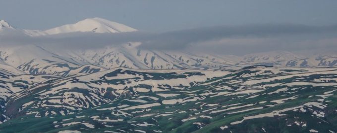 Ташкентская область
